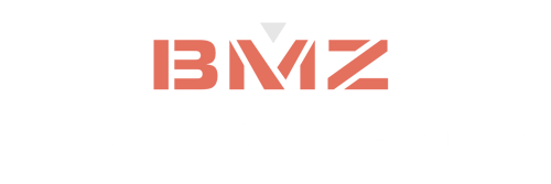 BMZ volles Logo hell-1